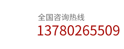 13780265509